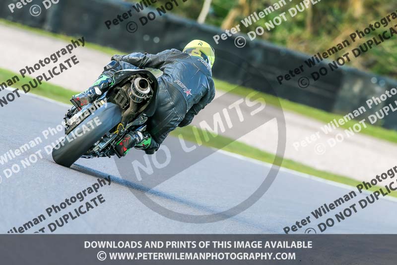 Oulton Park 20th March 2020;PJ Motorsport Photography 2020;anglesey;brands hatch;cadwell park;croft;donington park;enduro digital images;event digital images;eventdigitalimages;mallory;no limits;oulton park;peter wileman photography;racing digital images;silverstone;snetterton;trackday digital images;trackday photos;vmcc banbury run;welsh 2 day enduro